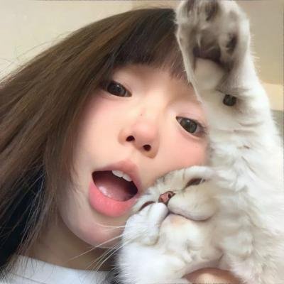 最后的飞行